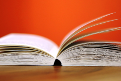 Learning & Development Handbook Image